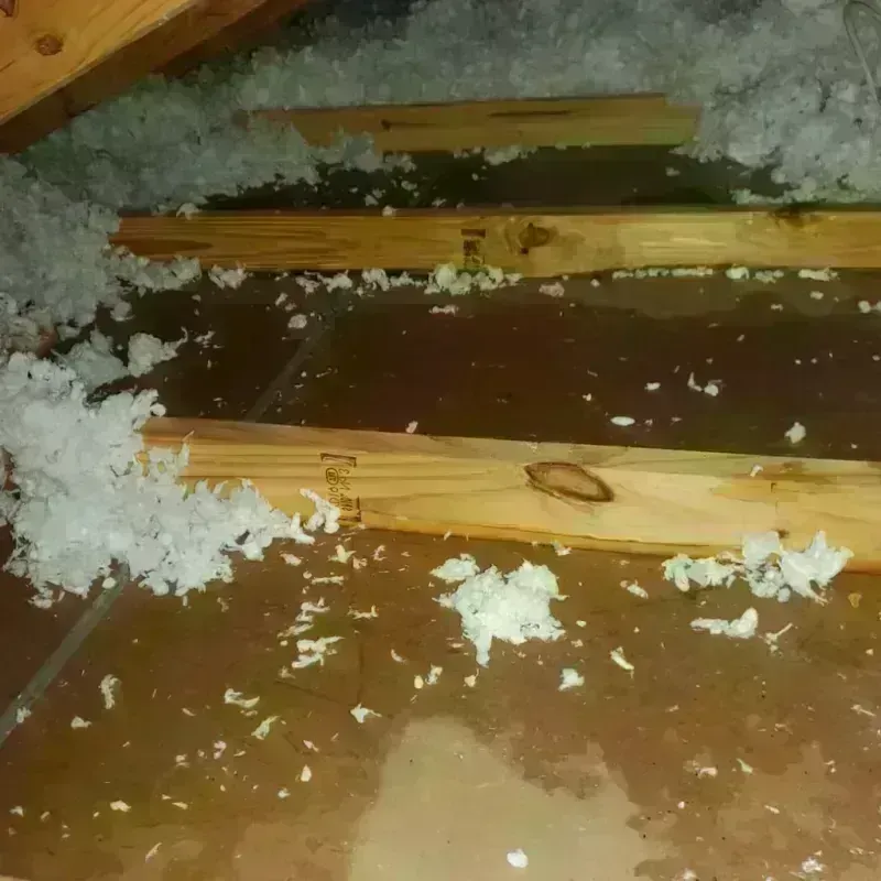 Attic Water Damage in Jackson, OH