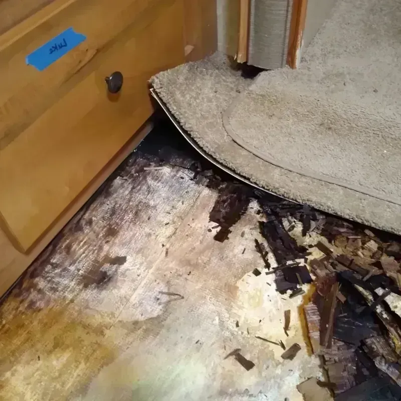 Wood Floor Water Damage in Jackson, OH